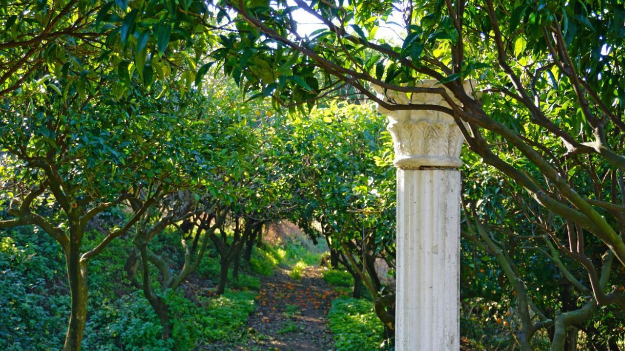 Tenuta Convivium Pozzuoli Exterior foto